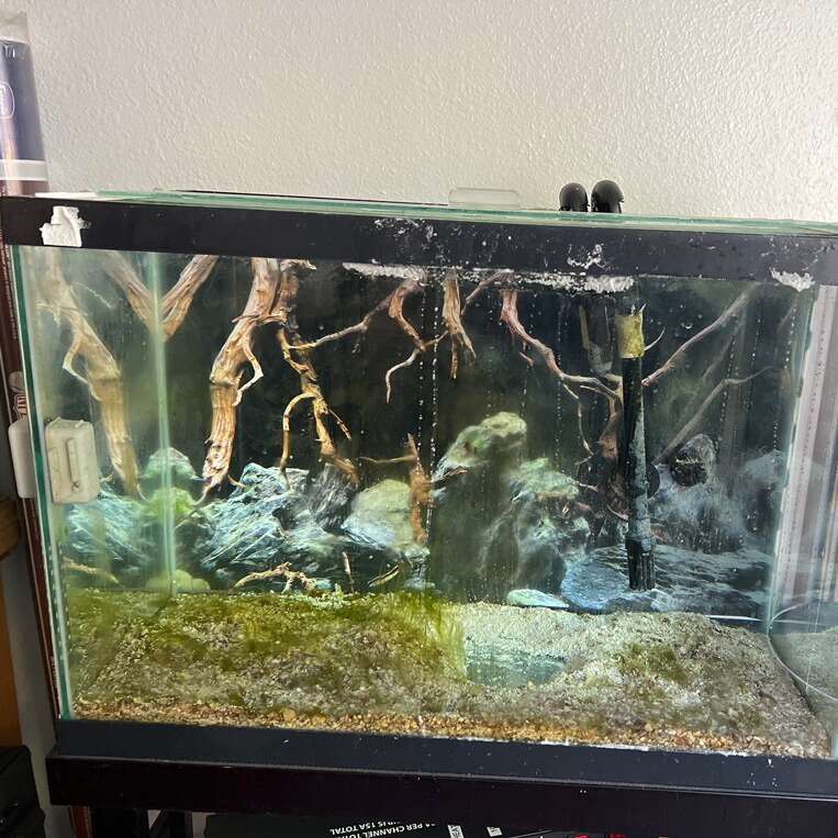 fish tank Salt water FLUVAL 207 CANISTER … Pets