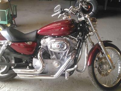 2008 883 HD Sportster Price Cut