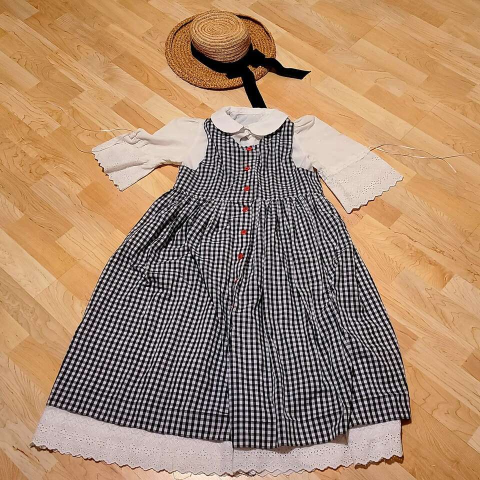 Pioneer / Prarie Girl Costume
