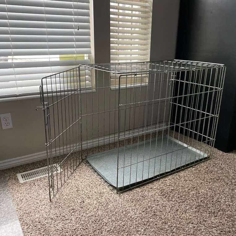 Large Dog Crate Pets
