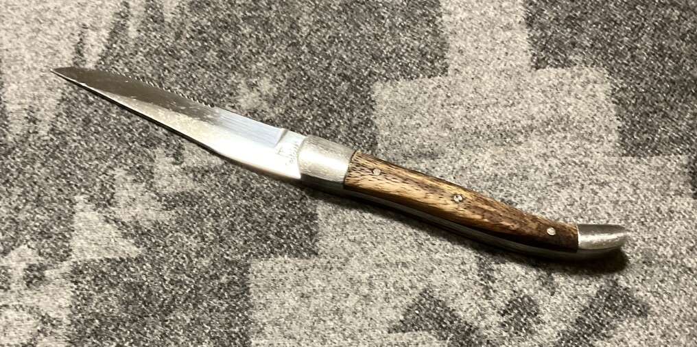 Fortessa Provencal 9.25 Inch Serrated Steak Knife