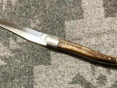 Fortessa Provencal 9.25 Inch Serrated Steak Knife