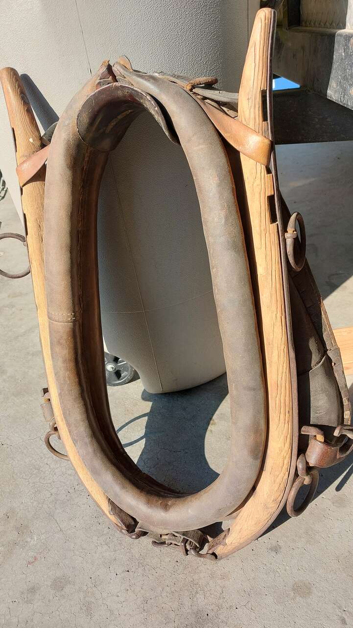 Horse Collar