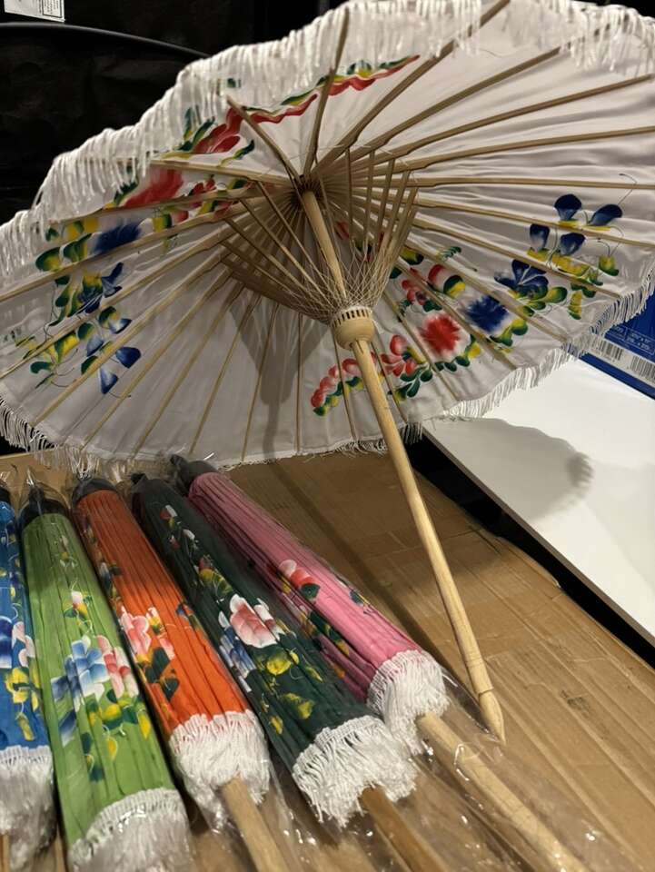 Handmade/Handpainted Umbrella