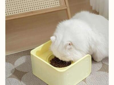 Pet Bowls