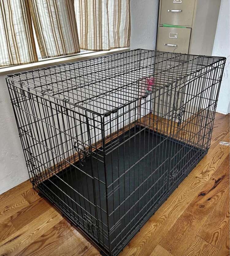 48 inch BRAND NEW dog kennel crate XL cage Pets