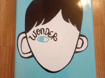 Wonder~Book~Hardcover