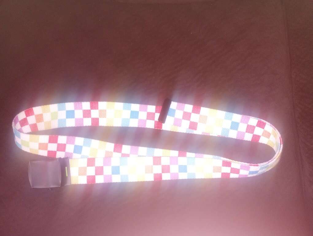 Multicolored Checkerboard Belt