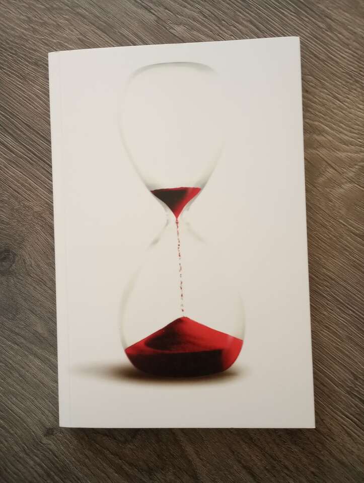 The Short Second Life of Bree Tanner~Book