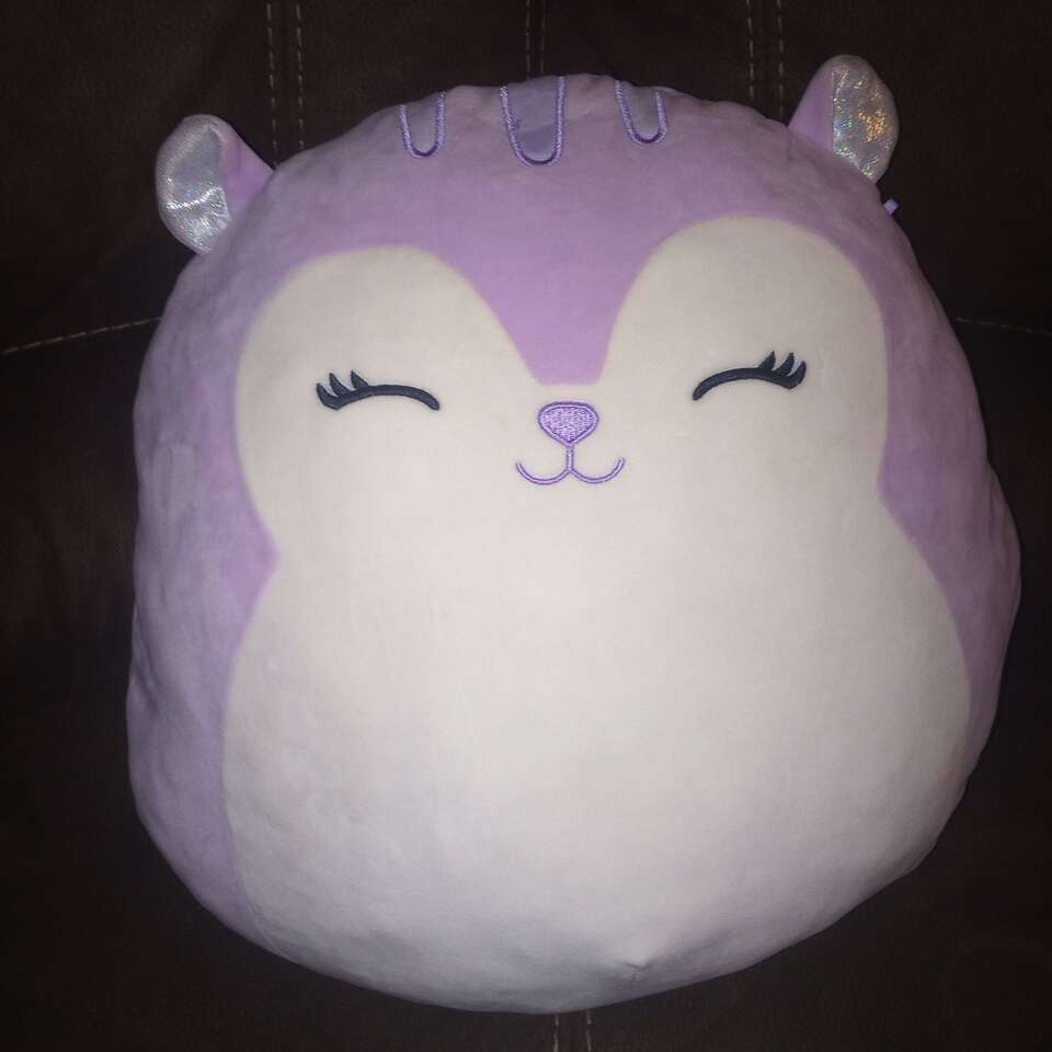 Large Squishmallow~Sydnee the Squirrel