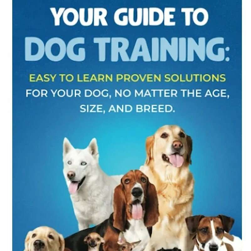 An essay to follow guide for training