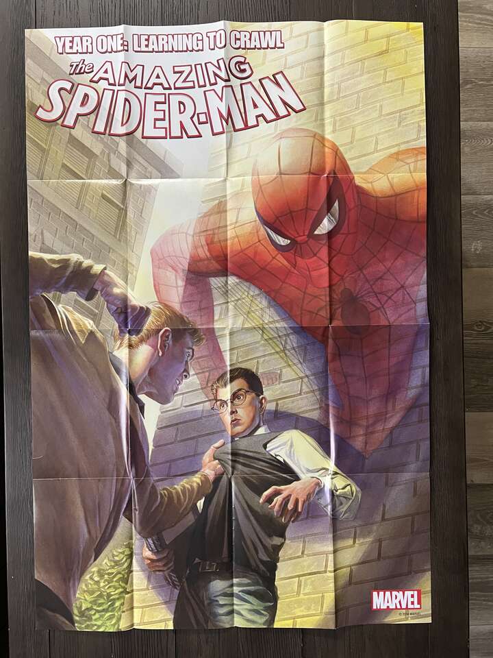 The Amazing Spiderman Year One: Learning to Crawl Poster