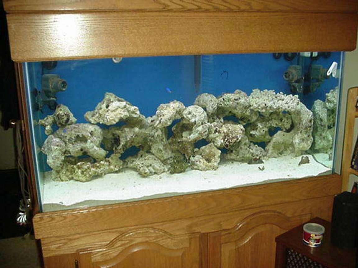 Aquarium 90 gal with 40gal sump. with Oak… Pets