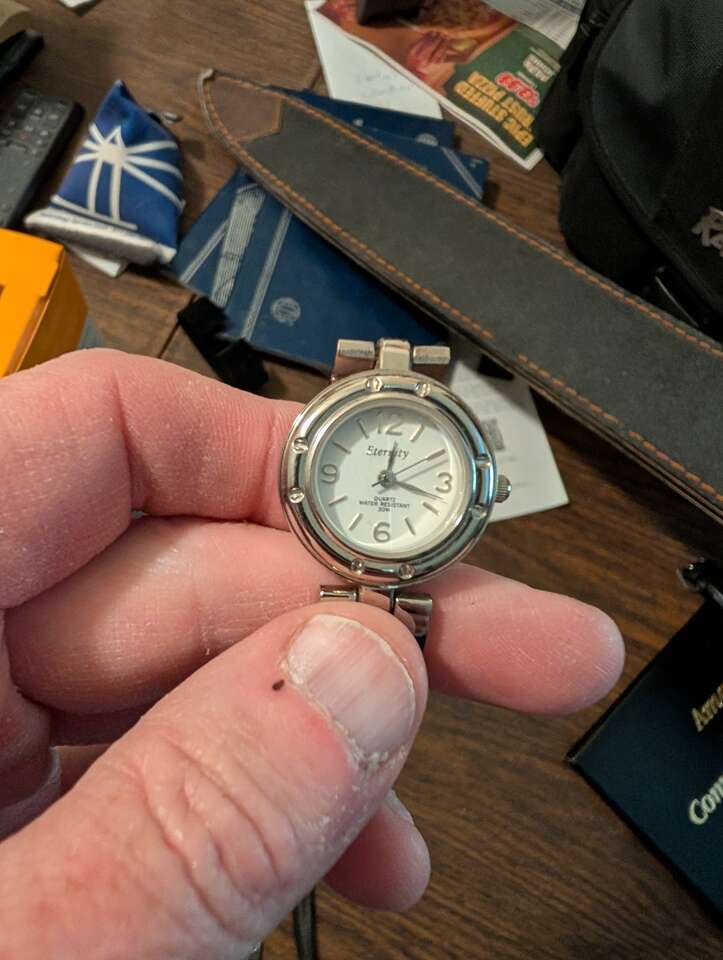 Eternity Vintage Ladies watch 30m water resistant with brand new battery