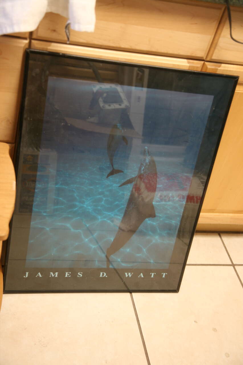 FRAMED PRINT OF DANCING DOLPHINS BY JAMES WATT ONLY 5.00