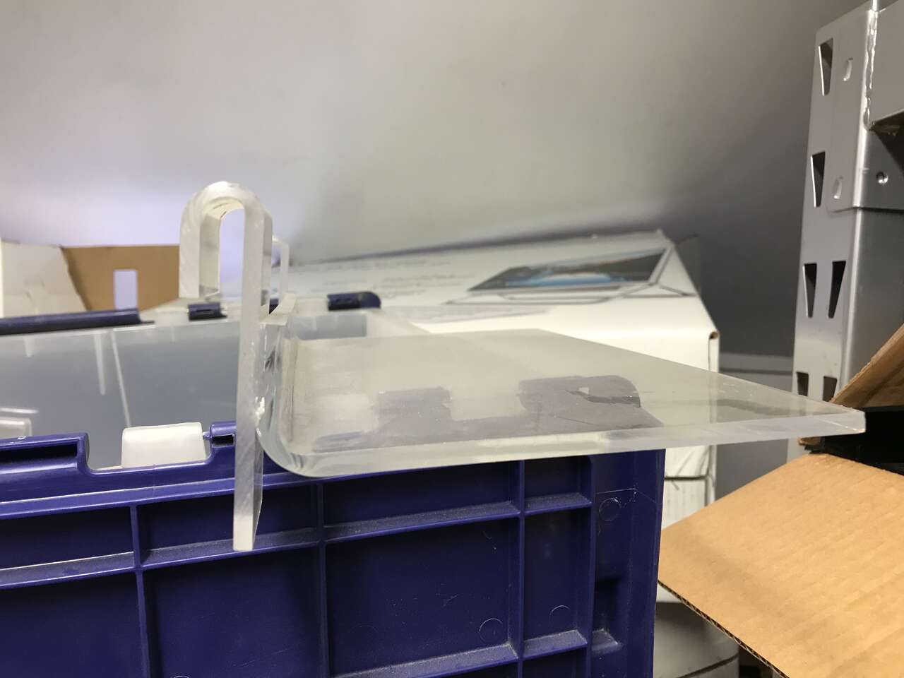 Grid wall plexi glass shoe shelves