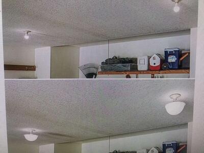 Ez shade bulb cover ceiling light cover