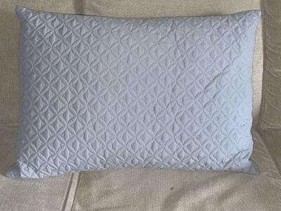 Brand New Pillows And Blanket