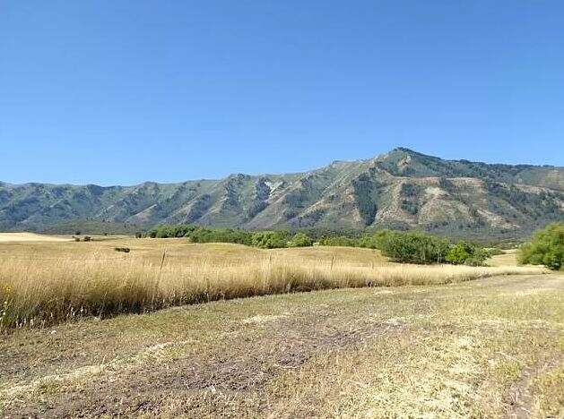 9.14 Acre Mountain Lot Property with Stream and Trees