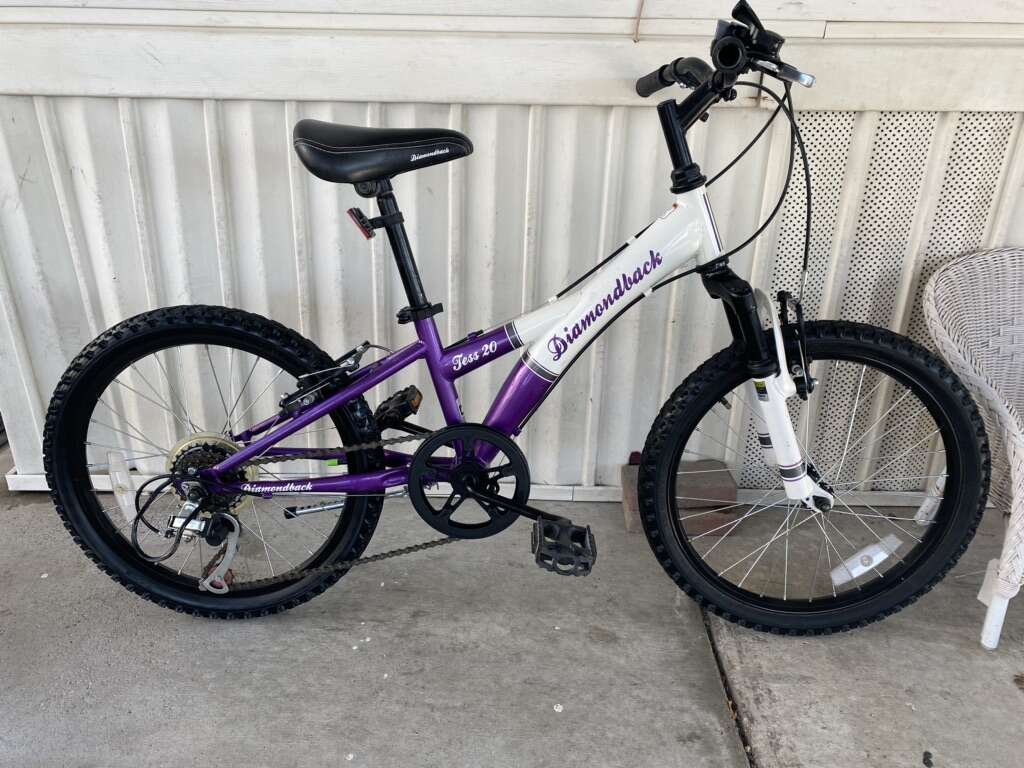 Diamondback tess shop 20 purple