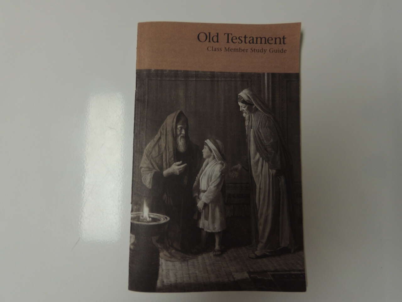 Old Testament Class Member Study Guide