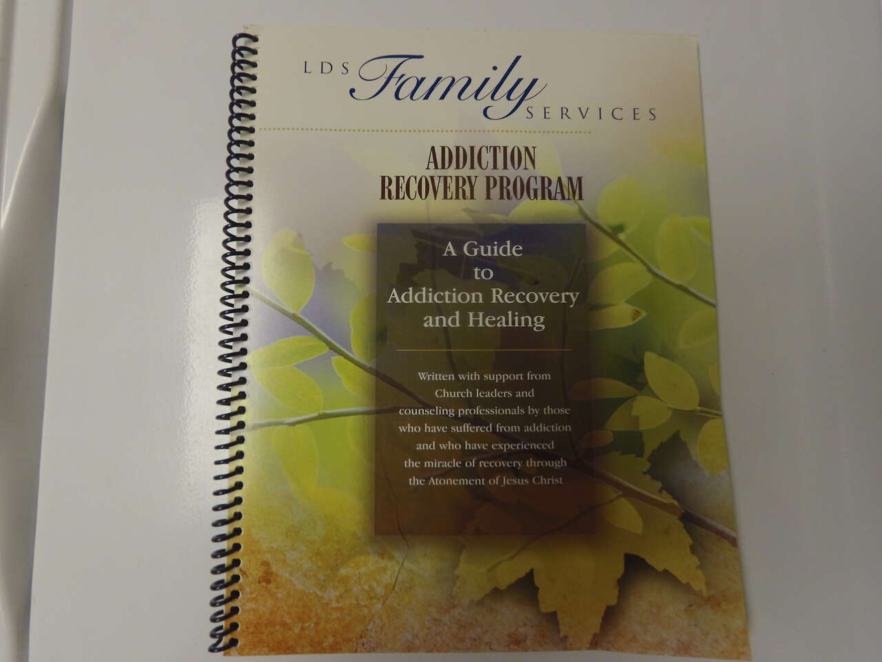 LDS Family Services Addiction Recovery Program