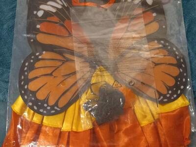 Butterfly Dog Costume M