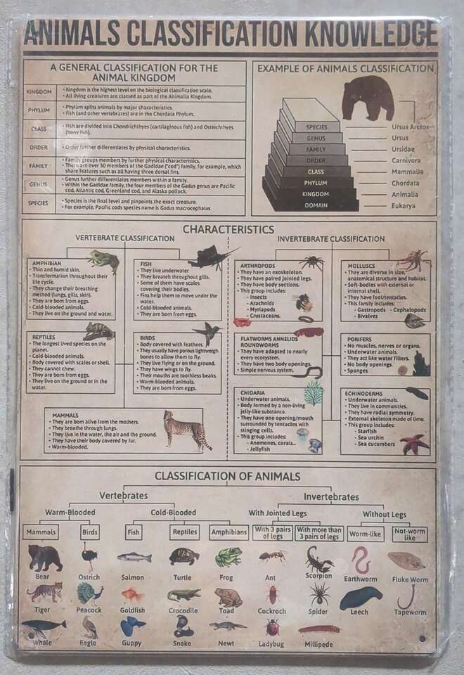 Fishing knowledge wall hanging plates