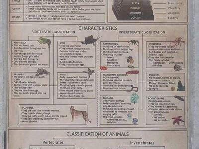 Fishing knowledge wall hanging plates