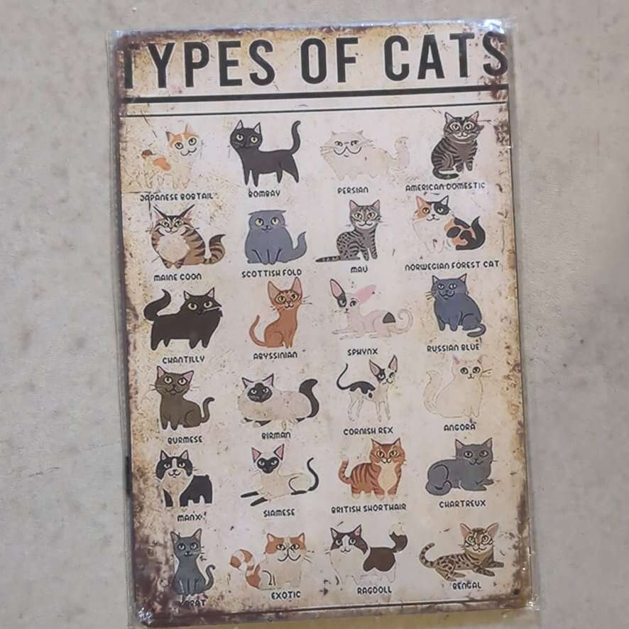 Types of cats