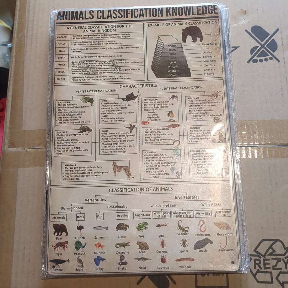 Animal classification wall hanging