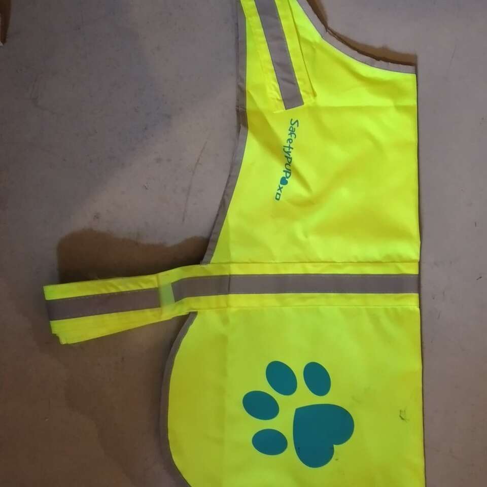 Large dog safety vest