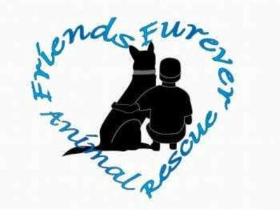 Friends Furever Animal Rescue