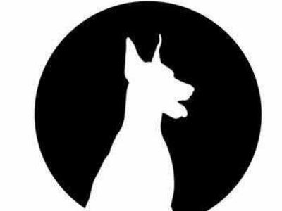 Saving Dobermankind Animal Rescue