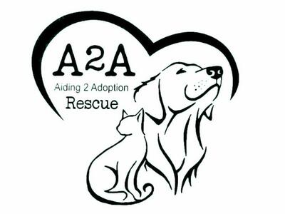 Aiding 2 Adoption Rescue