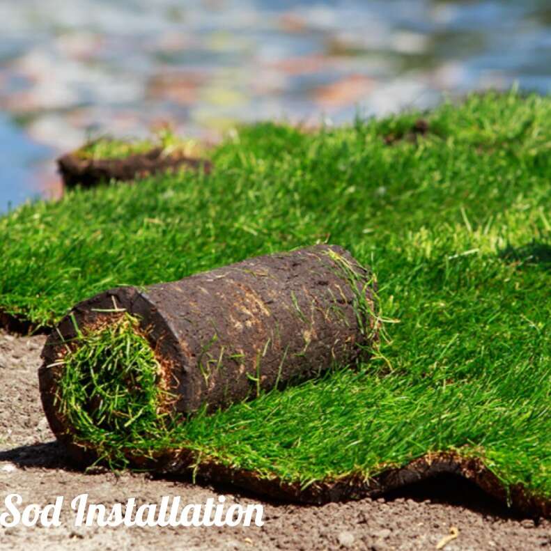 Sod Delivery & Installation