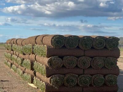 Sod Pickup & Delivery