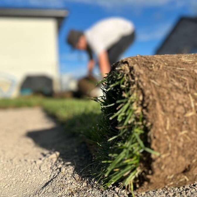 Sod Delivery & Installation
