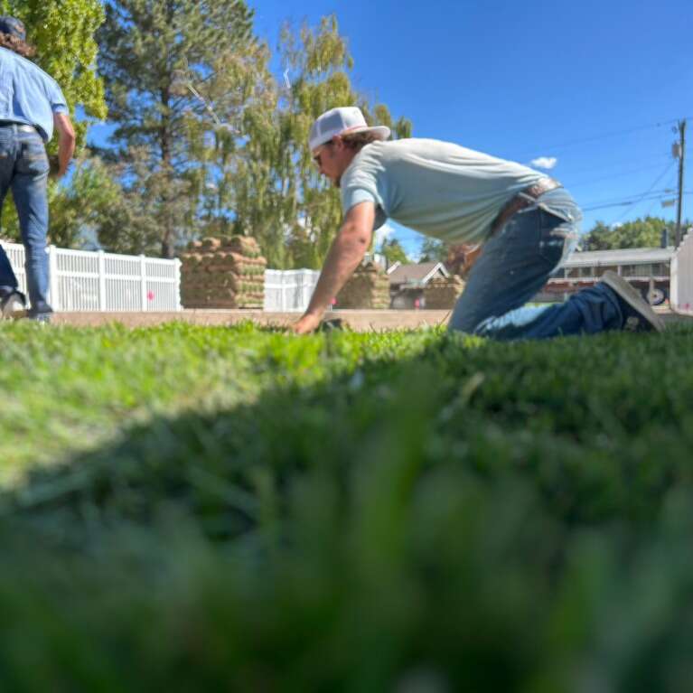 Sod Delivery & Installation
