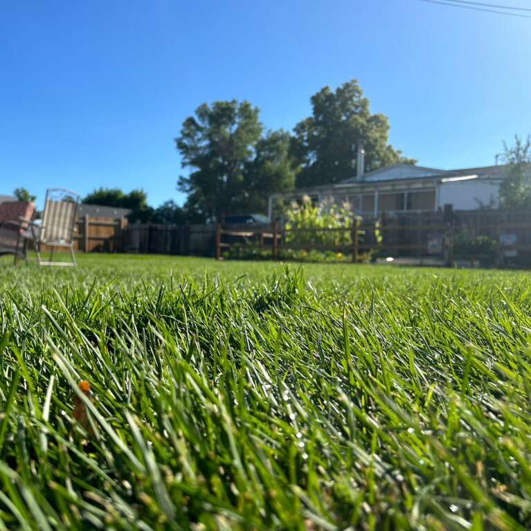 Sod Delivery & Installation