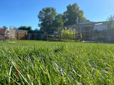 Sod Delivery & Installation