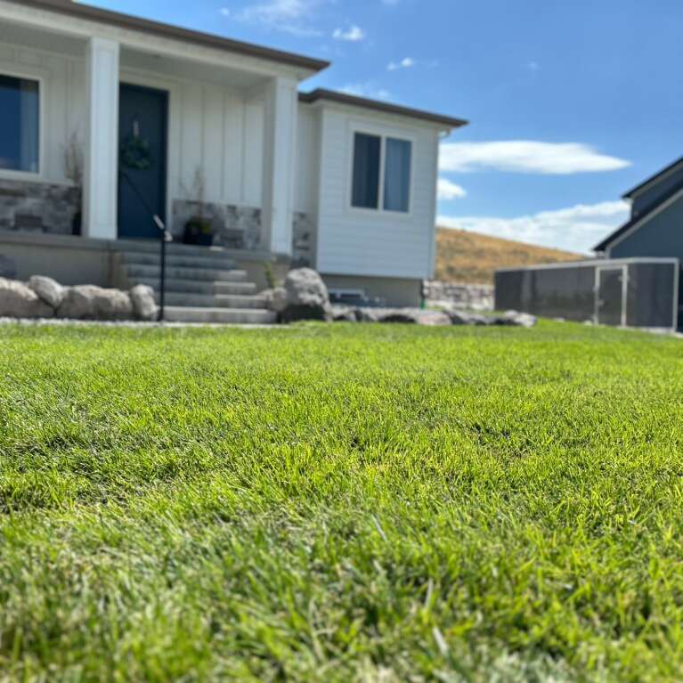 Sod Delivery & Installation