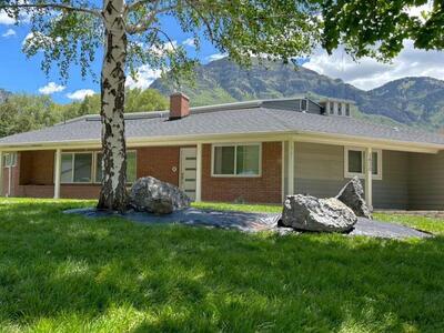 Sod Delivery & Installation