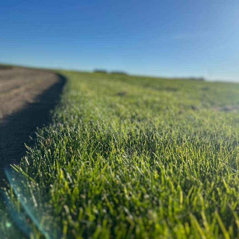 Sod Delivery & Installation