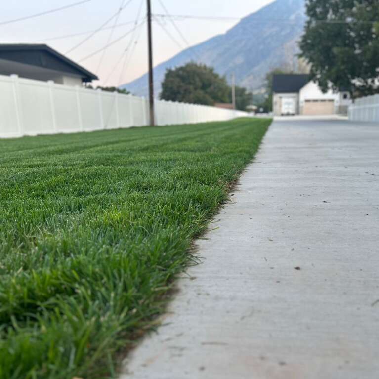 Sod Delivery & Installation