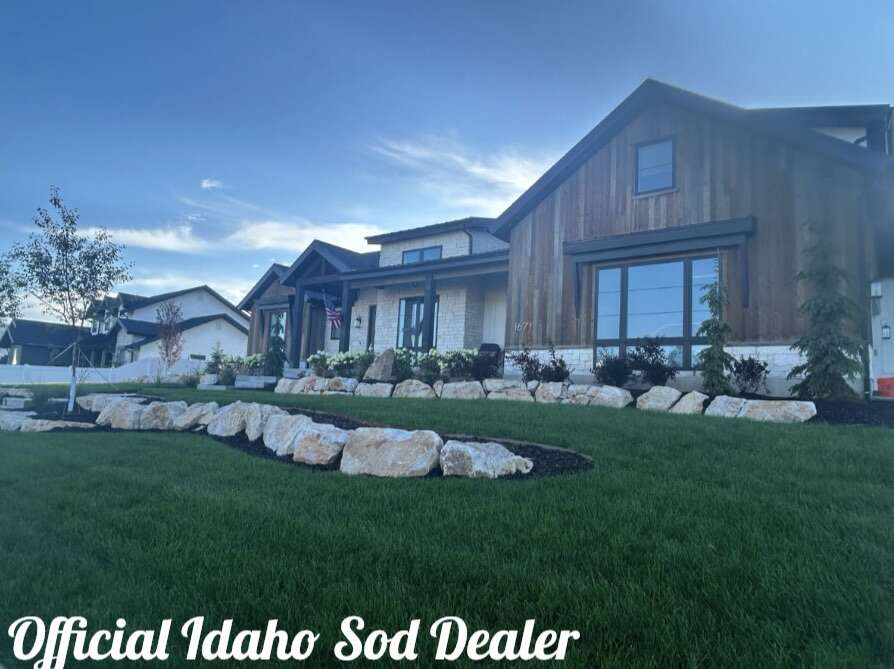 Sod Delivery & Installation