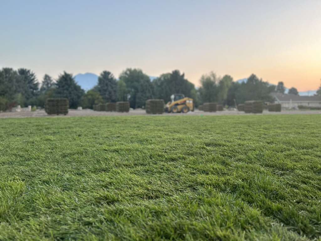 Sod Delivery & Installation