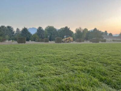 Sod Delivery & Installation
