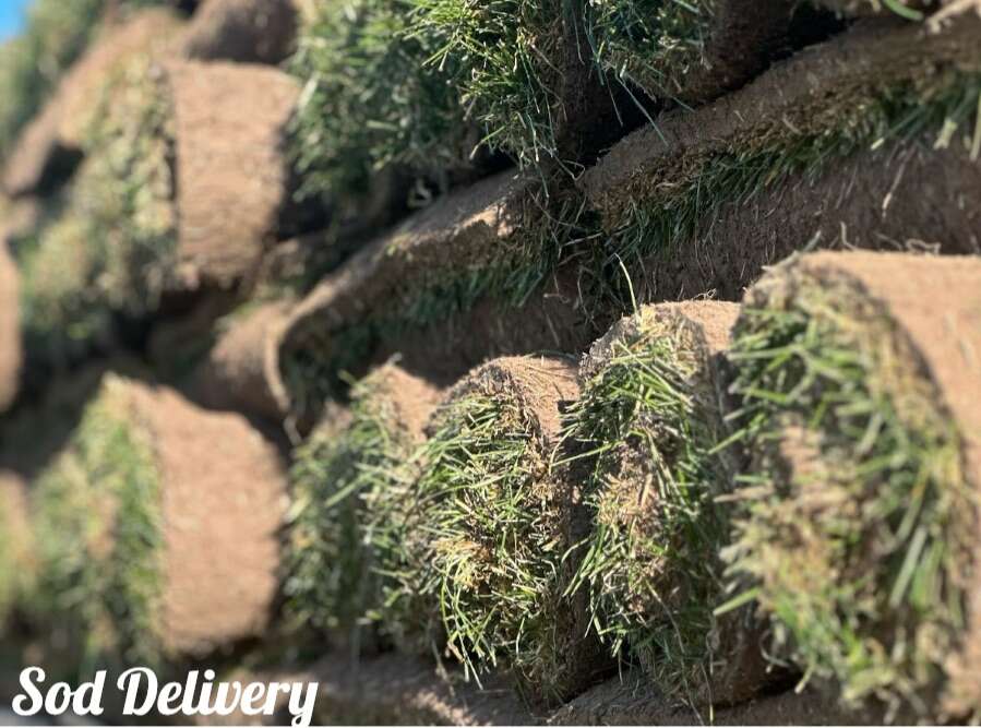 Sod Delivery & Installation