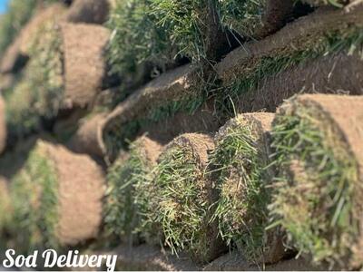 Sod Delivery & Installation